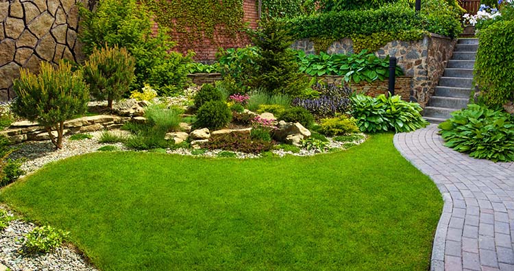 Conception de jardin Tulle