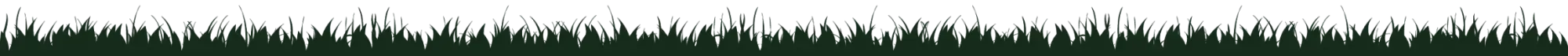 herbe herbe